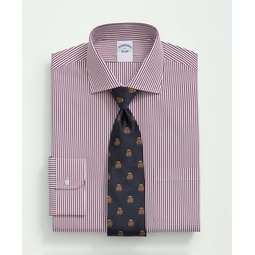 Supima Cotton Poplin English Collar, Striped Dress Shirt