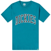 Dickies Aitkin College Logo T-Shirt Deep Lake