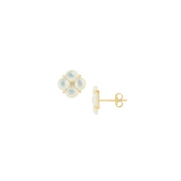 14K Yellow Gold, 0.03 TCW Diamond & Mother Of Pearl Stud Earrings