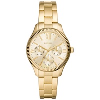 Womens Rye Multifunction Gold-Tone Stainless Steel Watch 36mm