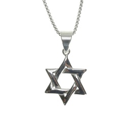 Dell Arte Stainless Steel Star of David Pendant Necklace