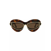 Double Frame 67MM Oval Sunglasses