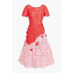 Two-tone guipure lace midi dress