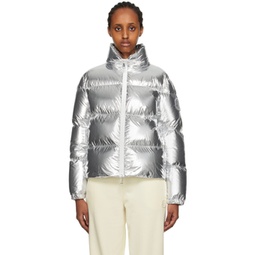 Silver Meuse Down Jacket 232111F061025