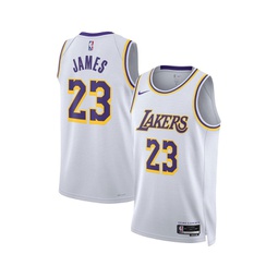Mens and Womens LeBron James Los Angeles Lakers Swingman Jersey