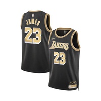 Mens and Womens Lebron James Los Angeles Lakers Select Series Swingman Jersey