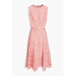 Belted cotton-blend guipure lace midi dress