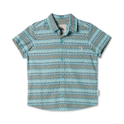 Toddler & Little Boys Vibrations Button-Up Cotton Shirt