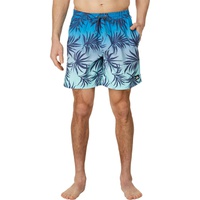 Mens Quiksilver 17 Everyday Mix Volley Shorts