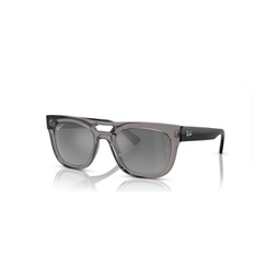 Unisex Phil Polarized Sunglasses Mirror Gradient RB4426
