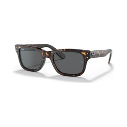 Unisex Burbank Sunglasses RB2283