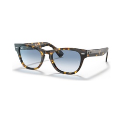 Unisex Laramie Sunglasses Gradient RB2201