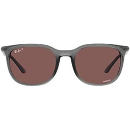 Ray-Ban RB4386 Square Sunglasses
