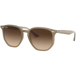 Ray-Ban RB4306 Irregular Sunglasses for Men for Women + BUNDLE With Designer iWear Eyewear Kit