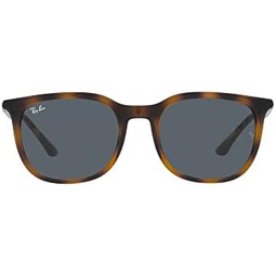 Ray-Ban RB4386f Low Bridge Fit Square Sunglasses