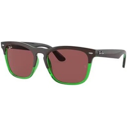 Ray-Ban RB4487 Square Sunglasses for Men for Women + BUNDLE With Designer iWear Eyewear Kit