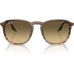 Ray-Ban Rb2203 Square Sunglasses