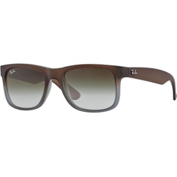 Ray-Ban RB4165 Justin Sunglasses + Vision Group Accessories Bundle (Rubber Brown On Grey/Light Grey Gradient Green (854/7Z),55) for unisex-adult