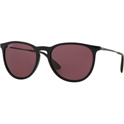 Ray-Ban RB4171 Erika Sunglasses + Vision Group Accessories Bundle (Black/Purple (601/5Q)