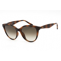 ferragamo womens sf1073s-240 fashion 54mm havana sunglasses