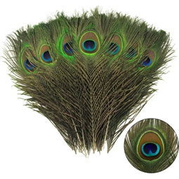 THARAHT 120pcs Peacock Feather Natural in Bulk 10-12 inch 25-30cm for Craft Vase Wedding Home Party Christmas Day Decoration Peacock Feathers