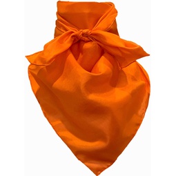 Cowboy Shop Silk Scarves - Orange