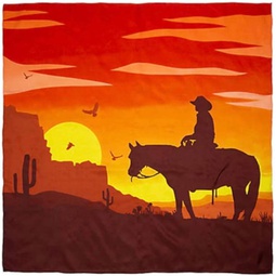 Wyoming Traders Sunset Cowboy #2 Southwest Wild Rag Multi N/A
