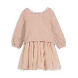 Little Girls 2-Piece Sweater & Dress Set