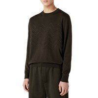 Long Sleeve Pullover Crewneck Sweater