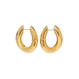 Gold Loop Earrings 221342F022046