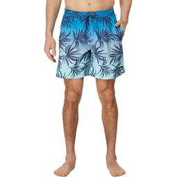 Quiksilver 17 Everyday Mix Volley Shorts