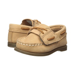 Sperry Kids A/O Crib (Infant/Toddler)