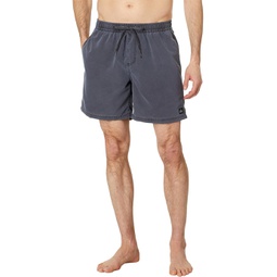 Quiksilver 17 Everyday Surfwash Volley Shorts
