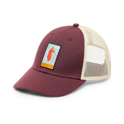 Cotopaxi Llama Map Trucker Hat
