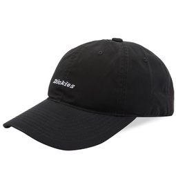 Dickies Premium Collection Ball Cap Black