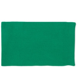 Colorful Standard Merino Wool Scarf Kelly Green