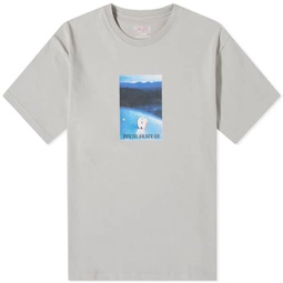 Polar Skate Co. Core T-Shirt Silver