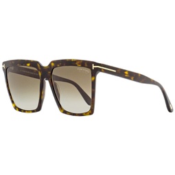 womens square sunglasses tf764 sabrina-02 52h dark havana 58mm