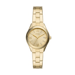 womens rye three-hand date, gold-tone stainless steel watch