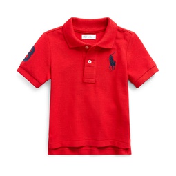 Baby Boys Cotton Mesh Pony Logo Polo Shirt