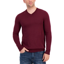 Mens Long-Sleeve V-Neck Merino Sweater