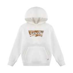 Toddler Boys Graphic Pullover Hoodie