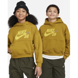 Nike SB Icon Fleece EasyOn